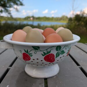 Minnie’s Farm Fresh Chicken Eggs